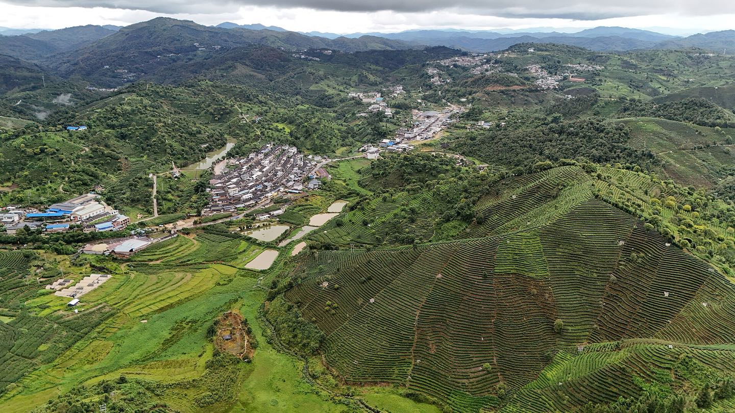 云南茶山航拍：层层茶田顺着山坡铺开，村落与水塘散布山谷之间，云层低垂，绿意满山