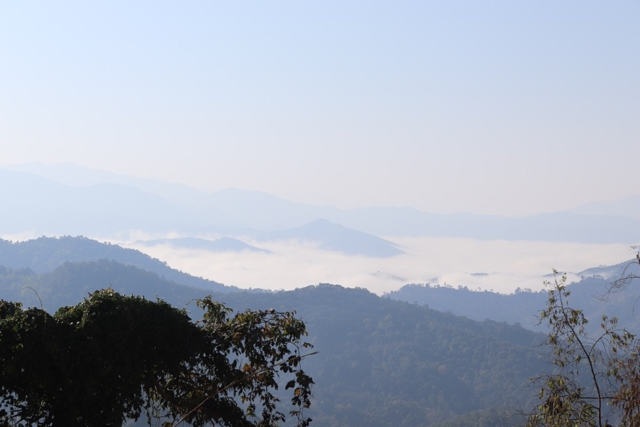普洱景迈山：古茶林与群山，云雾在山脊间流动